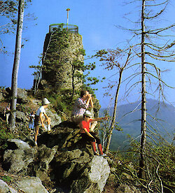 Aussichtsturm am Hirschenstein Bayrischer Wald